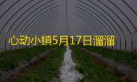 心动小镇5月17日溜溜木和萤石位置